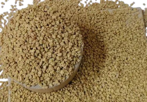 Fenugreek Seed
