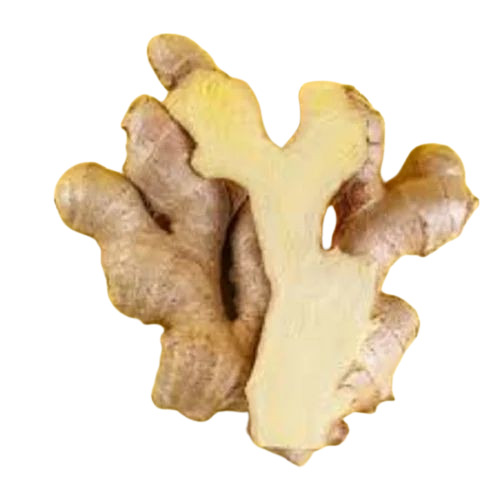 Fresh Ginger - Fresh, Very Good Quality Vegetable | 100% Pure, Good for Health, Raw Processing Form, Preserved Style, Irregular Shape, Cool & Dry Storage
