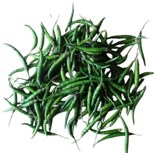 Green Chilli - Fresh and Very Good Quality | Elongated Shape, 100% Pure, Good for Health, Raw Processing Form