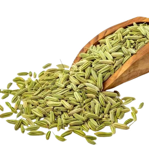 Green Fennel Seeds - 100% Pure, Naturally Dried Whole Spices | Fresh Quality, Good for Health, Elongated Shape, Natural Taste, 1 Year Shelf Life