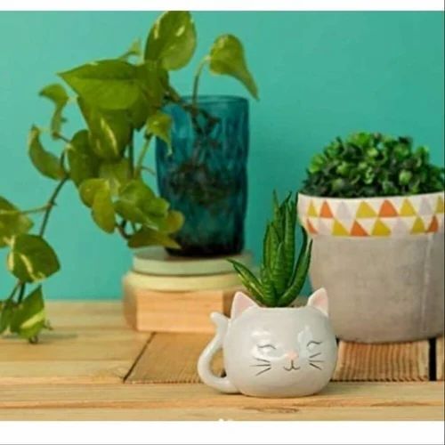 Kitten Head Resin Planter - Ceramic Material, White Color | Ideal for Decoration with Printed Pattern & Very Good Quality
