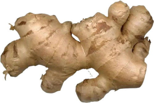 Natural Fresh Ginger