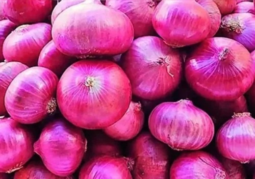 Organic Red Onion - Fresh, Very Good Quality, Chopped, Round Shape, Shelf Life: 15 Days | Preserved in Cool & Dry Places, Suitable for Cooking