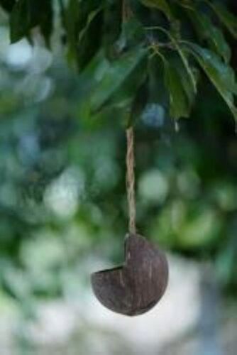 Coconut Shell Bird Feeder - 100 Ml, Premium Quality, Eco-friendly Design With Rustic Appearance And Lightweight Build