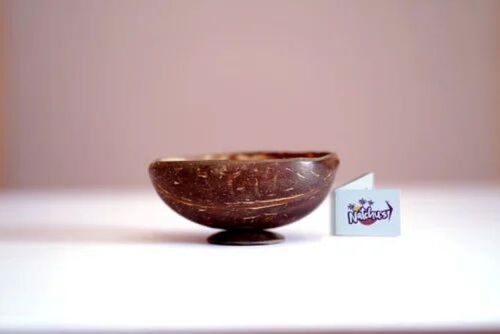 Glossy Coconut Shell Oval Bowl - Premium Quality Organic Eco-Friendly Handcrafted Design Lightweight Rustic Finish with Smooth Interior