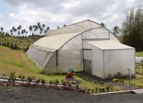 Natural Ventilation By Complete Green House Solutions Pvt. Ltd.
