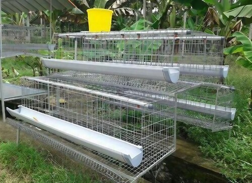 Poultry Layer Cage