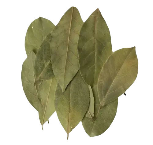 Bay Leaf