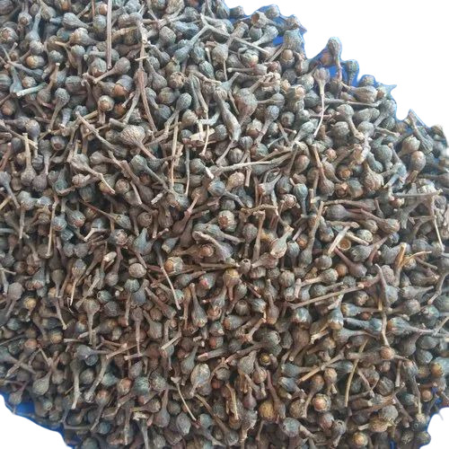 Black Nagkesar