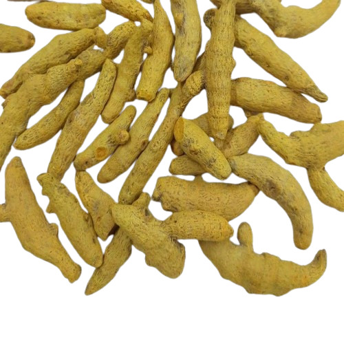 Organic Turmeric Finger - Elongated Shape Yellow Color | 100% Pure Naturally Dried 5g Whole Spice Good for Health Food Grade Cool & Dry Storage