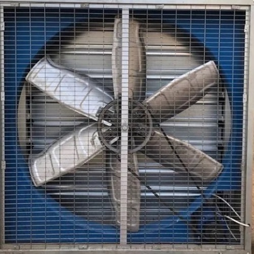 Poultry Exhaust Fan - Galvanized Iron, 54 Inch, Silver Color | Heavy Duty, Wall Mounted, Single Phase to Three Phase