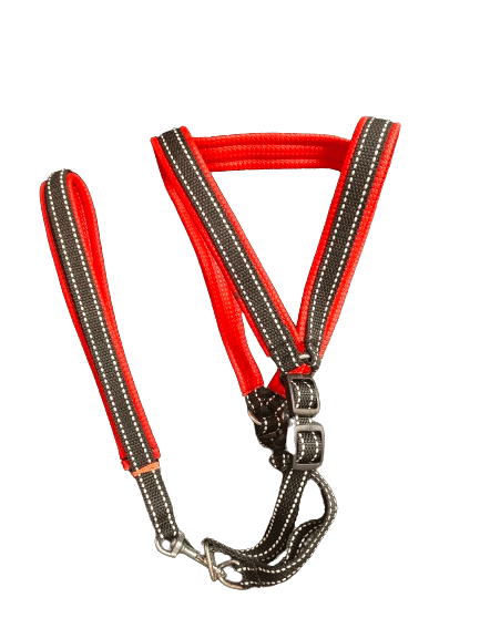 Red Adjustable Comfort Padded Dog Harness 1/2 Inch