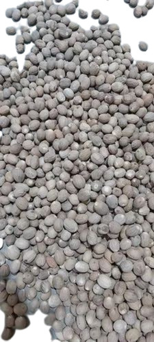 Dried Nutmeg - Whole Spice, Natural Dried Process, 100% Pure, Grade A Quality, Good for Health, Brown Color, Long Shelf Life