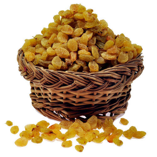 Dried Raisin - Color: Gold