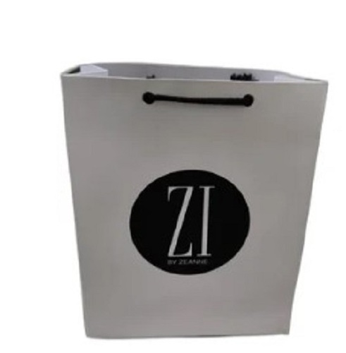 Multipurpose Shopping Printed Paper Bag - Kraft Paper, Various Sizes | Ivory White, Biodegradable, Easy to Carry, Rope Handles, Quality Tested