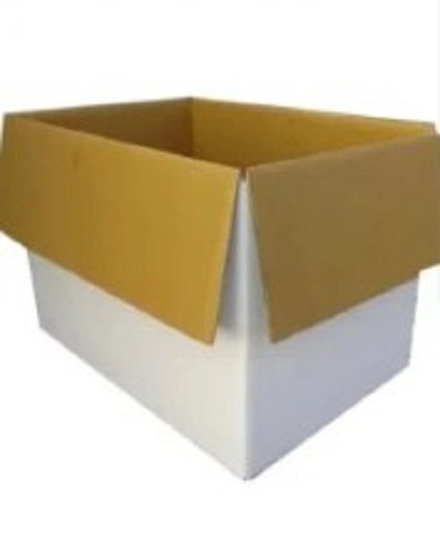 Paper Carton Box - Tear Resistant Material, Various Sizes Available , Lightweight and Timely Delivery