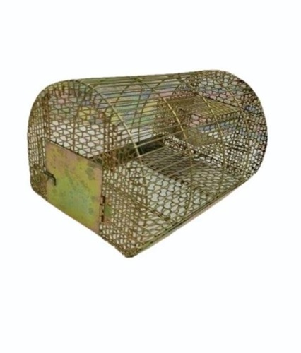 rat trap