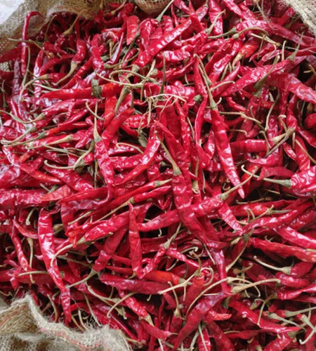 Teja Red Chilli - Fresh, Natural Dried, 100% Pure | Spicy Flavor, Whole Pieces, Very Good Quality, Good for Health