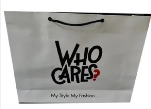 White Paper Carry Bags - Tear Resistant , Spacious and Moisture Proof with Rope Handles