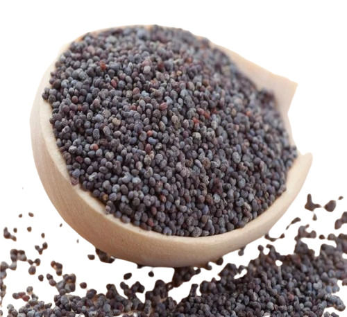 Black Poppy Seed - Cultivation Type: Common