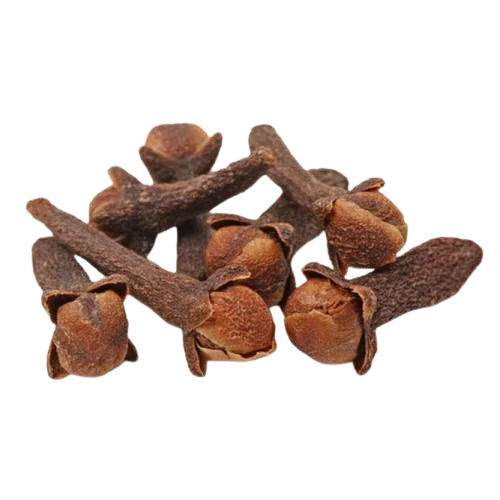 Dried Cloves - Color: Brown