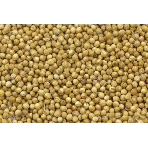 Dried Coriander Seed - 100% Pure, Light Brown Color | Versatile Spice with Rich, Aromatic Flavor, Natural Digestive Aid, Long Shelf Life