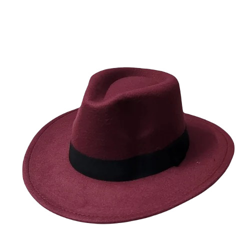 Men Fancy Fedora Hat