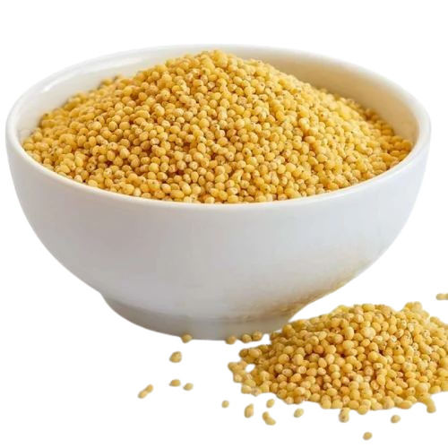 Organic Foxtail Millet - Natural Dried, Fresh Quality with 100% Purity | Good for Health, Soft Texture, Yellow Color, Standard Size