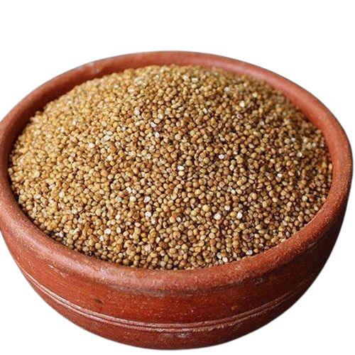 Organic Kodo Millet