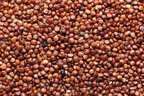 Organic Red Quinoa Seeds