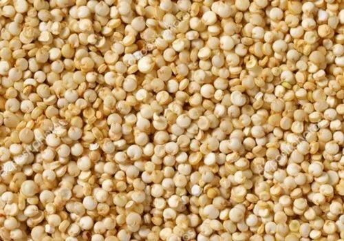 White Quinoa Seeds - Fresh Very Good Quality | Good for Health 100% Purity Natural Drying Process Soft Texture Dried Variety