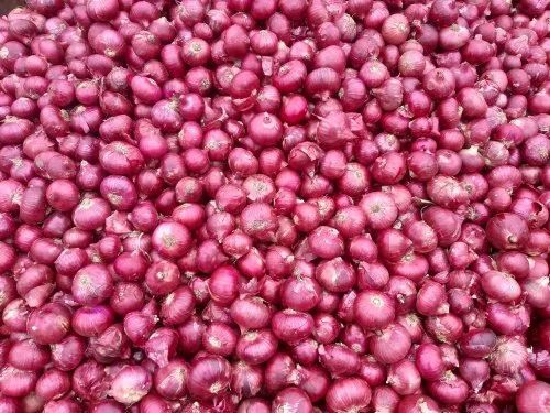 Fresh Indian Onion - Very Good Quality, 100% Pure, Chopped Style, Round Shape, Good for Health, Cool & Dry Storage