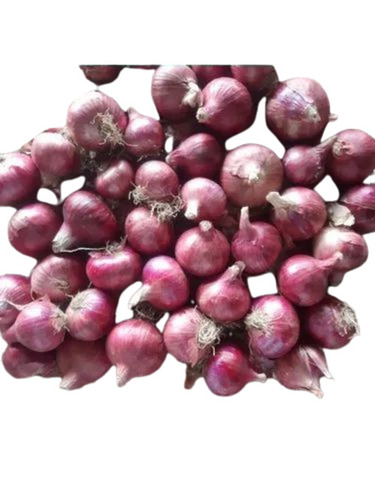 Fresh Onion - 100% Pure, Very Good Quality | Round Shape, Chopped Style, Good for Health, 15 Days Shelf Life