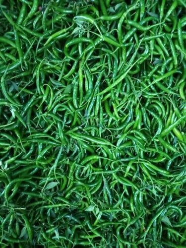 G4 Green Chilli - Fresh Elongated Vegetable, Very Good Quality, 100% Purity, Good for Health, Ideal for Cooking