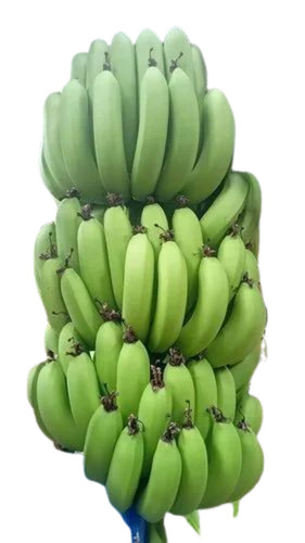 Green Bananas - Standard Size, Green Color | Fresh Quality, 100% Pure, Good for Health