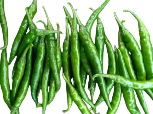 Indian Green Chilli - 5 Kg Fresh Vegetables, 100% Pure, Good for Health - Raw Instant Elongated Shape, Cool & Dry Preserving Compound, 15 Days Shelf Life