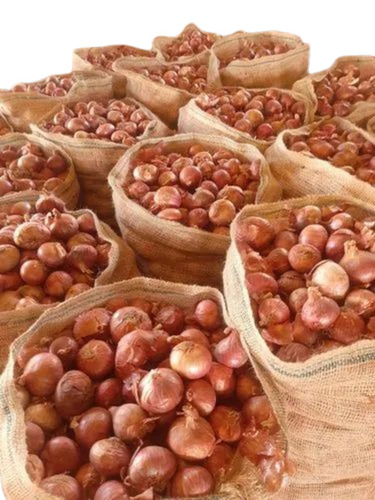 Nashik Onions