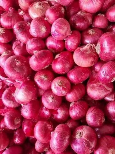 Nashik Red Onions - Fresh & Very Good Quality, 100% Pure Vegetables Good for Health - Chopped, Round, Cool & Dry Storage, Shelf Life of 1 Month