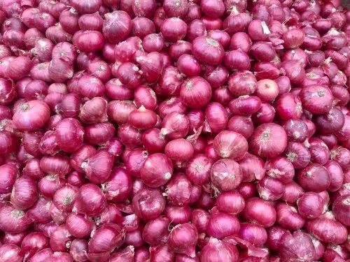 Natural Fresh Red Onion - Chopped, Very Good Quality & 100% Pure | Good for Health, Cooked Style, Round Shape, Shelf Life of 1 Week