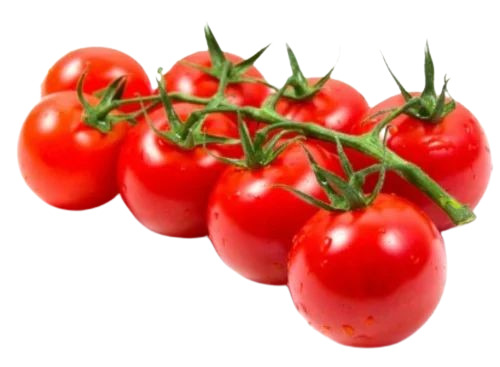 Natural Fresh Tomatoes - 100% Pure Chopped Variety, Round Shape for Cooking, Good for Health, Enjoy a 15-Day Shelf Life in Cool & Dry Places