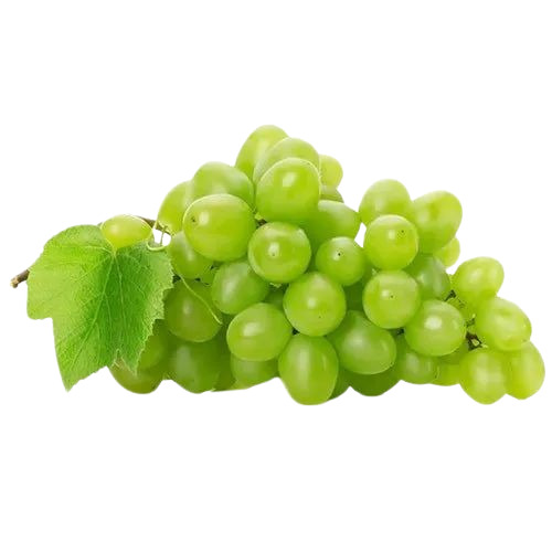 Natural Green Grapes - Fresh Quality, 100% Pure, Sweet Oval Fruit | Good for Health, Commonly Cultivated, Standard Size, 15 Days Shelf Life