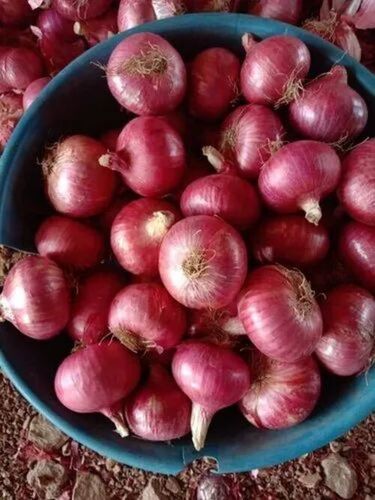 Organic Red Onion - Fresh & Very Good Quality, 100% Pure, Chopped & Round Shape, Good for Health, Best Preserved in Cool & Dry Places, Ideal for Cooking
