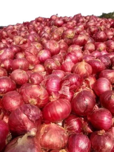 Red Onions - Fresh Quality, 100% Purity | Chopped Style, Round Shape, Good for Health