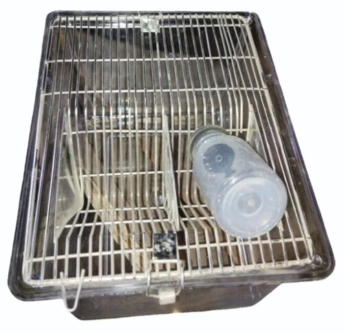Polycarbonate Mice Cage