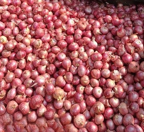 Brown Onion - Fresh Quality Very Good Purity | Chopped Shape Good for Health Shelf Life 15 Days Store in Cool & Dry Places Round Style Cooking