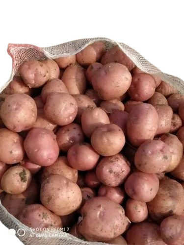 Fresh Red Potatoes - Fresh Quality With 100% Purity | Oval Shape, Good for Health, Chopped, Stored in Cool & Dry Places, Shelf Life: 1 Month