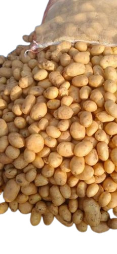 potato