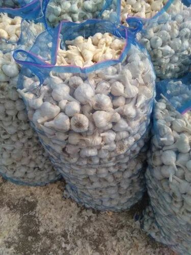 Raw Garlic - Fresh & Very Good Quality Vegetable, 100% Pure for Cooking, Good for Health | Preserved, Round Shape, Cool & Dry Storage, 1-Year Shelf Life