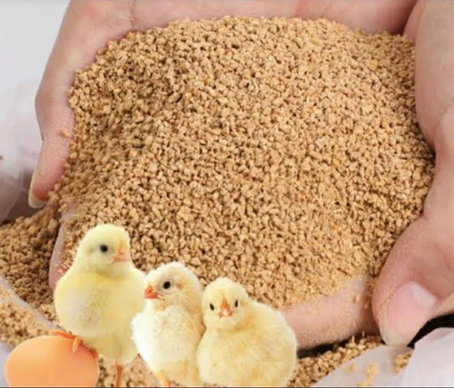 Chicken Feed - 100% Pure, Nutrient Enriched Granule Form, Beige Color | Promotes Growth, Improves Immunity, Healthycare Supplement