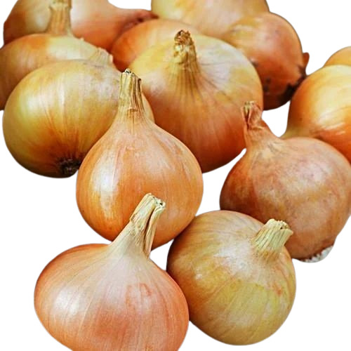 Fresh Yellow Onion - 100% Pure, Very Good Quality Vegetable | Good for Health, Cool & Dry Places Storage, 15 Days Shelf Life, Round Shape, Chopped Style
